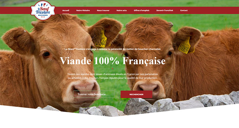 Le bœuf tricolore 1